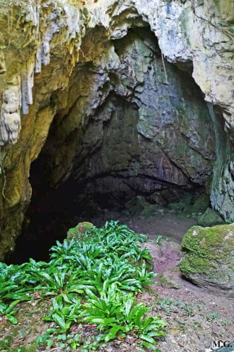 Vacanze trekking e percorsi naturalistici di Palermo Grotta del Garrone, Riserva Naturale Orientata "Serre della Pizzuta", Piana degli Albanesi (PA)