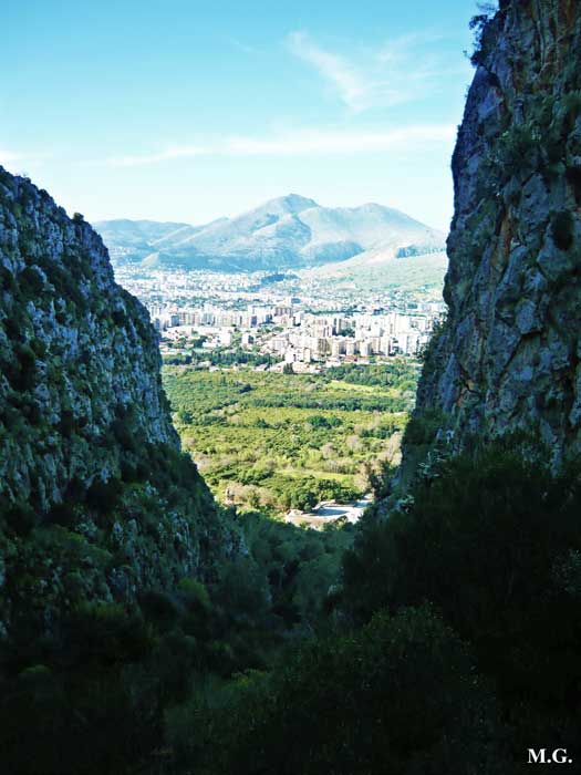 Vacanze trekking e percorsi naturalistici di Palermo Parco della Favorita visto dalla Valle del Porco, Monte Pellegrino, Palermo