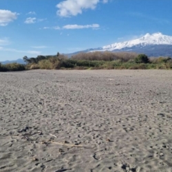 Spiaggia di Recanati Monolocale al mare Residence Les Roches Noires