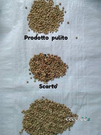 Pulitura legumi e cereali con selettore ottico di ultima generazione. Per info contattare