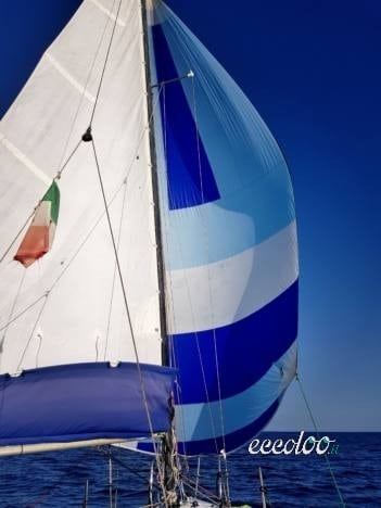 Barca a vela cabinata, deriva mobile carrellabile, eventuale carrello omologato e autopilota Raymarine. €.7000